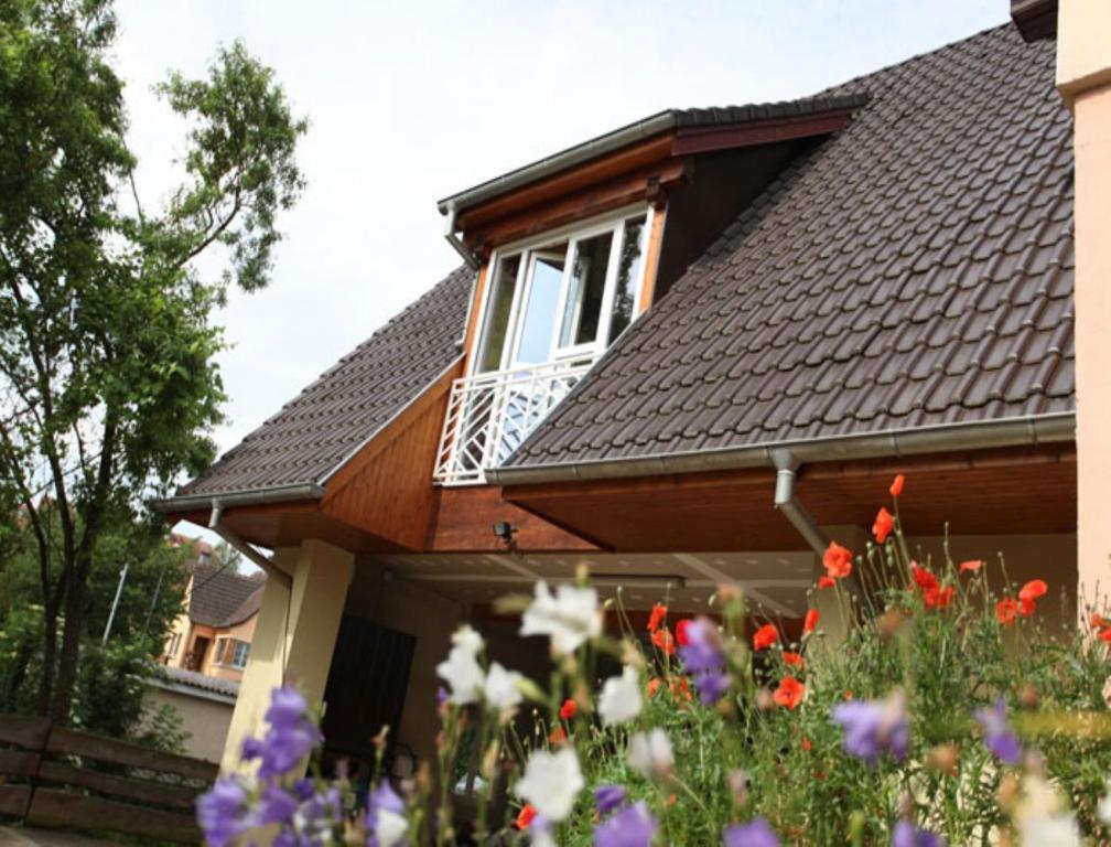 Gite Des Merles Mittelwihr Rom bilde